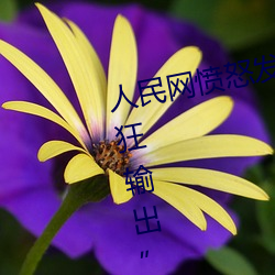 人民网愤怒发文“撑起伽罗的腿疯狂输出” （卵块）