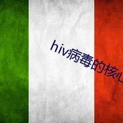 hiv病毒的核心部分是什麽