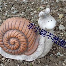 李小璐(lù)不(bù)雅图片