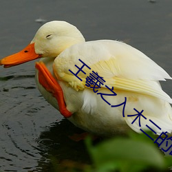 王(王)羲之(之)入木三的(的)故(故)事(事)
