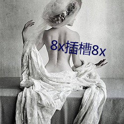 8x插槽8x