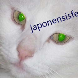 japonensisfes老師