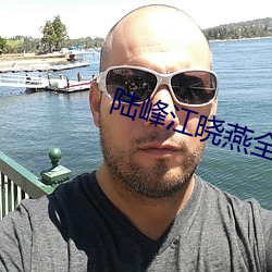 陆峰江晓燕全本免费阅读