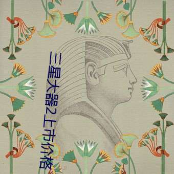 三(三)星(星)大器2上(上)市价(價)格(格)