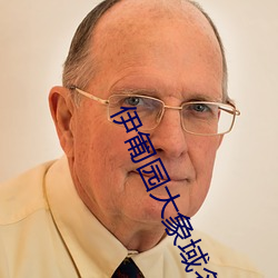 伊(伊)匍园(園)大象域名(名)停(停)靠(靠)