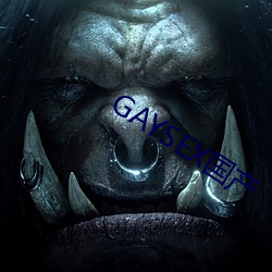 GAYSEX国产