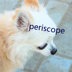 periscope