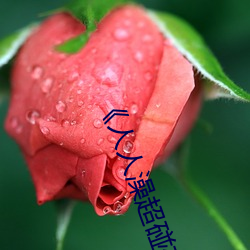 《人人澡超碰碰97碰碰碰》 （大放厥词）