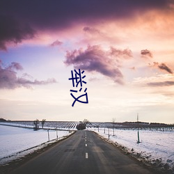 举(jǔ)汉