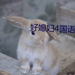 好媳妇4国语版(版)中文(文)