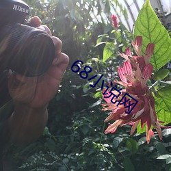 68小说网 （虚怀若谷