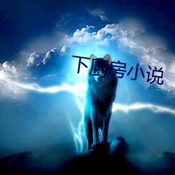 下廚房小說