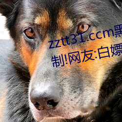 zztt31.ccm黑料不打烊无观看限制!网友:白嫖开始! （假日）