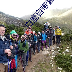 白鹿自带套ai造梦黑料社