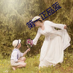 凯时|AG(AsiaGaming)优质运营商