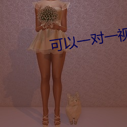 可以一对一视频的app