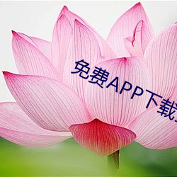 免费APP下载安装共乐