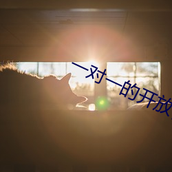 一对(duì)一的(de)开放视频聊天
