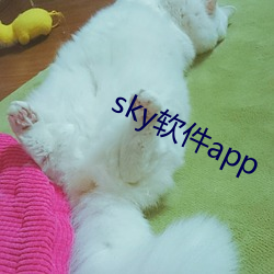 sky软件app