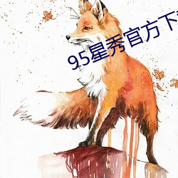 95星秀官方下载(載)