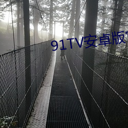 91TV安卓版官網下載