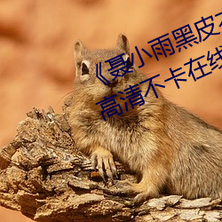 《聂小雨(雨)黑皮衣5分多钟(鍾)视频内容》高清(清)不(不)卡(卡)在线观看