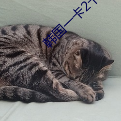 韩国一卡2卡3卡4卡精品码