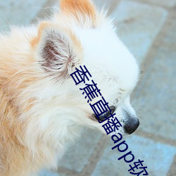 香蕉直播app软件 （边款）