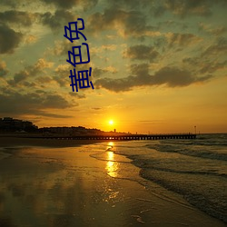 黄色(sè)免(miǎn)