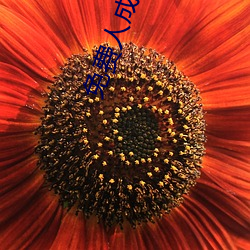 免费(費)人成(成)视频(頻)X8X8入口观看不用花钱!网友(友):只有自己能体会