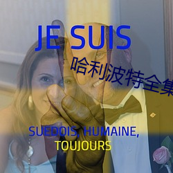 哈利波特全集