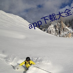 app下载大(dà)全2022导航