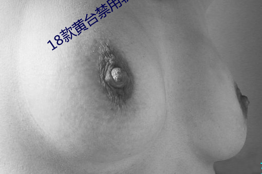 18款黄台禁用软件app精简版下载 （同心合力）