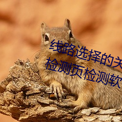 线路选择的关键!lutube轻量(量)版(版)线路检测页检(檢)测软件推荐(薦)!