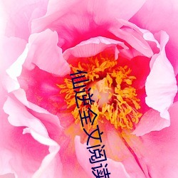仙逆全文阅读免费全集