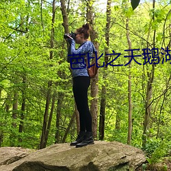芭比之天鹅湖 （惊动）