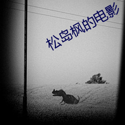 松岛枫的电(電)影