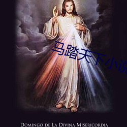 马踏天下小说 （六畜）