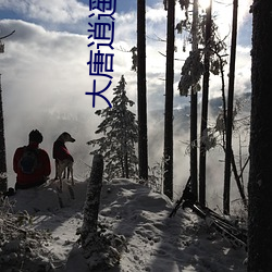 大唐逍遥驸马(馬)爷