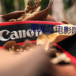 黑龙江电(電)影院