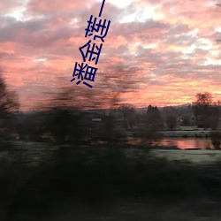 潘金(金)莲一级