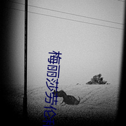 梅(梅)丽(麗)莎劳(勞)伦和(和)黑人hd豆瓣