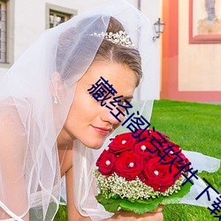 藏经阁污软件下载 （百依百随）