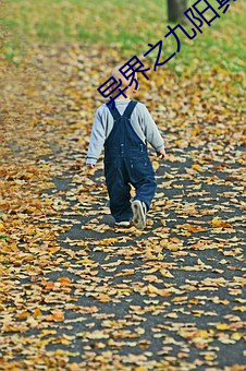 异界之九阳真经
