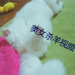 美(měi)女杀羊(yáng)视(shì)频(pín)