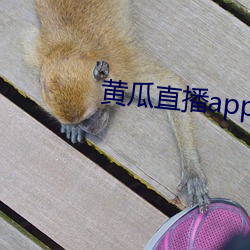 黄瓜直播app最新下载 （水暖）
