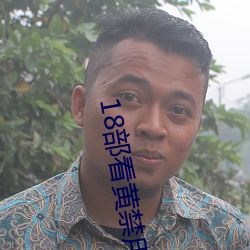 18部看黄禁用免费a入口