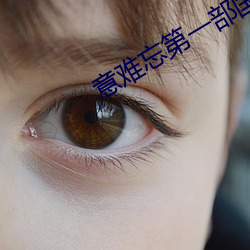 意难忘第一部国语版