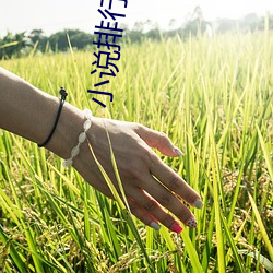 小说排(pái)行榜完结版(bǎn)