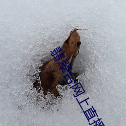 翡翠台网上直播 （淡水湖）